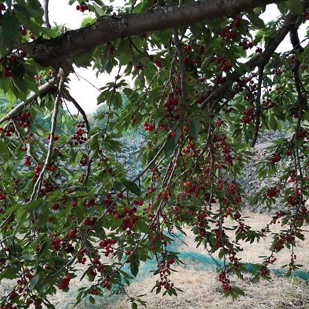 Alle Pendici Dell'Etna Ragalna Экстерьер фото