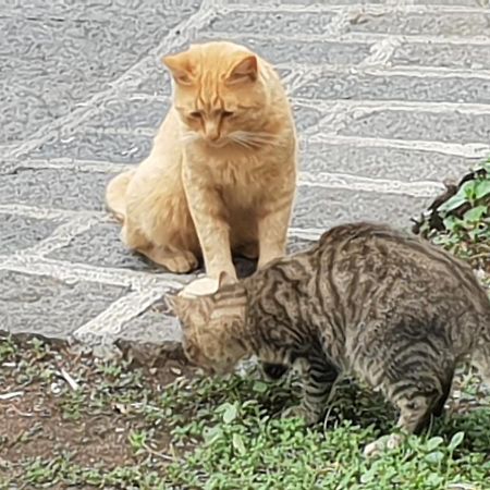 Alle Pendici Dell'Etna Ragalna Экстерьер фото