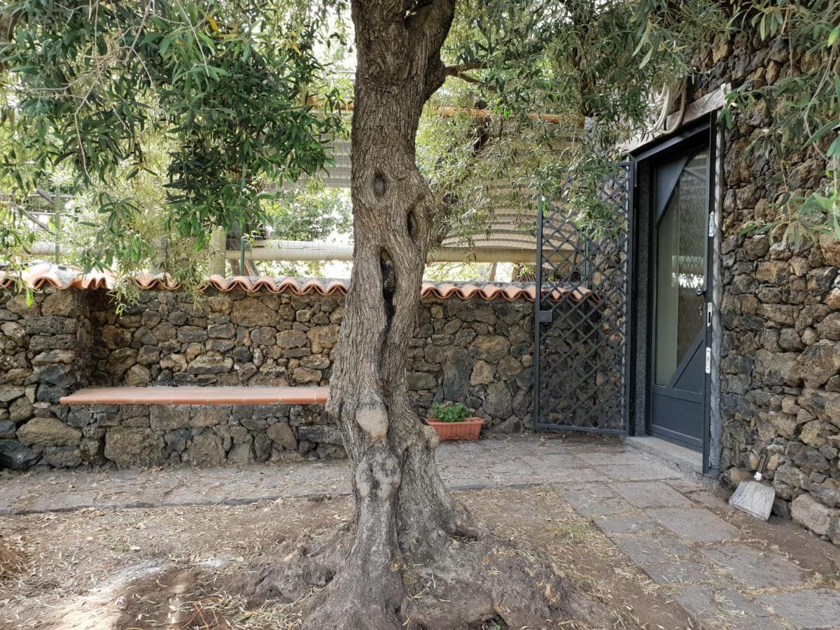 Alle Pendici Dell'Etna Ragalna Экстерьер фото