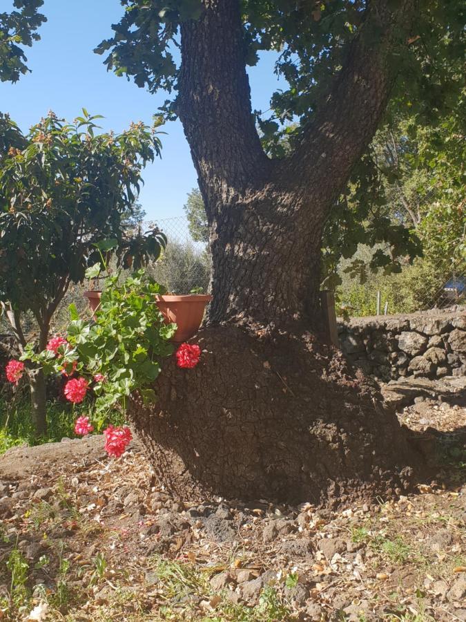 Alle Pendici Dell'Etna Ragalna Экстерьер фото